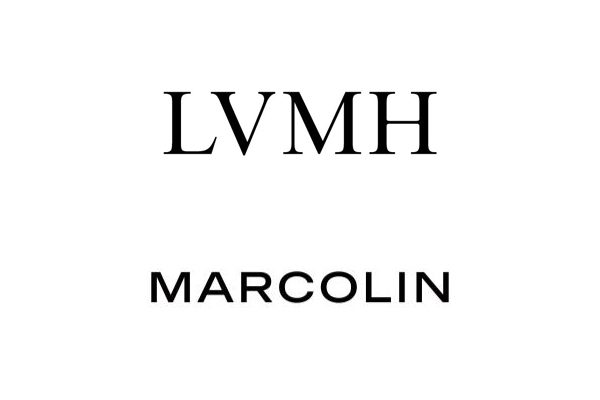 From Acquisitions to E-Commerce: The Year at LVMH